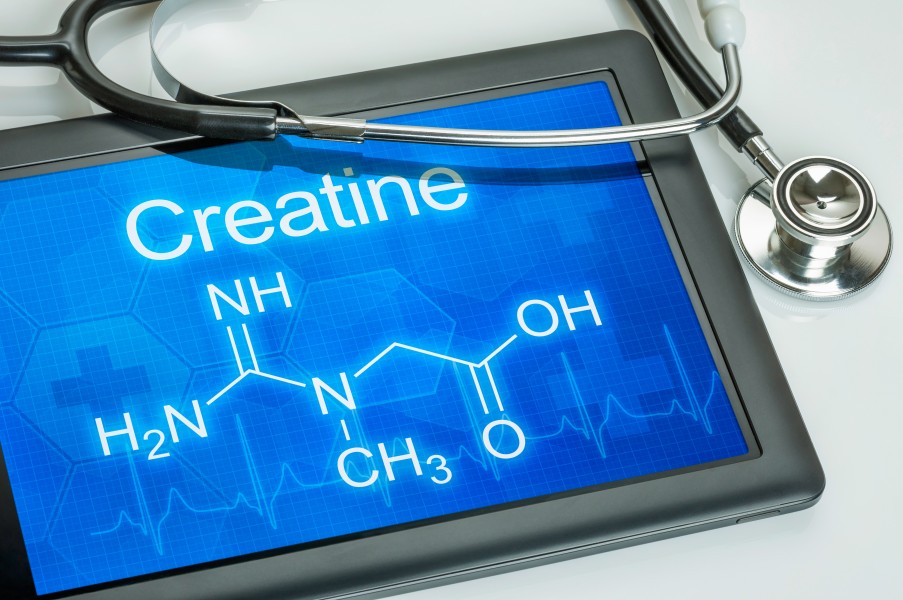 Créatinine élevée : pourquoi ?