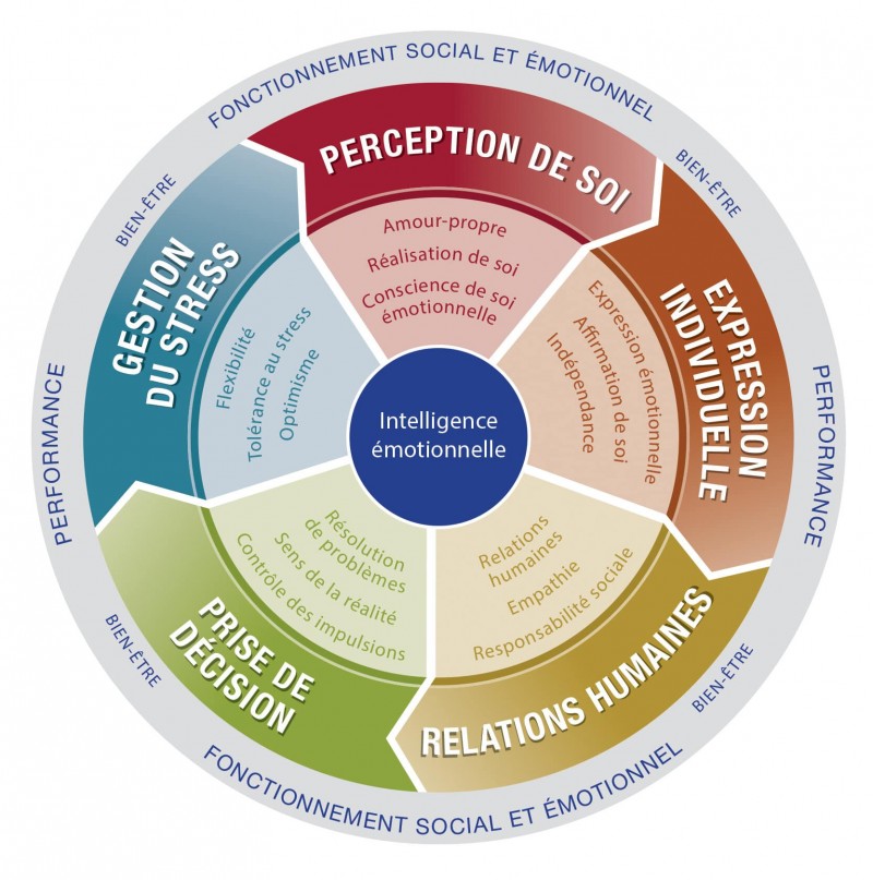 Haut potentiel émotionnel : comment savoir si je suis un adulte hpe ?